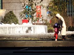 20160125冬日里阳光下的铂尔曼，值得带娃一来再来的酒店-常熟理文铂尔曼酒店