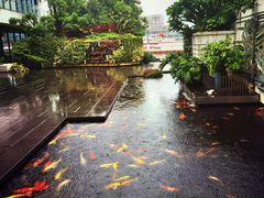 -白天鹅宾馆-健身中心