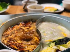 -青瓷火锅料理(西单大悦城店)