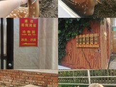 -丽泽山庄·生态怀柔菜·虹鳟鱼(红螺寺店)