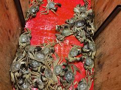 -初色海鲜自助(万丰路店)