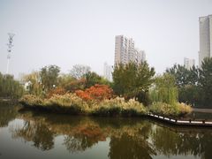 -南翠屏公园