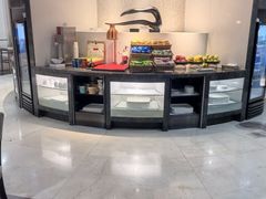 -虹桥机场国航贵宾室v8