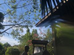 -台山颐和温泉城