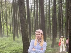 -洛阳白云山景区