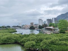 -巽寮印象美食部落餐厅·海鲜·地方特色菜(惠州体验店)