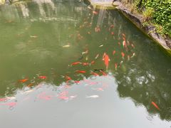 -蛇蟠岛