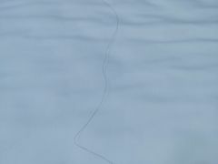 -7天酒店·贵阳小十字店