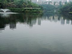 -重庆彩云湖湿地公园