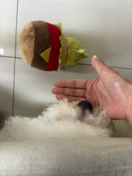 -杏绘·PLEASURE美甲美睫·嵌甲