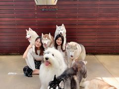 -TrueLove @ Neverland (Husky Cafe)