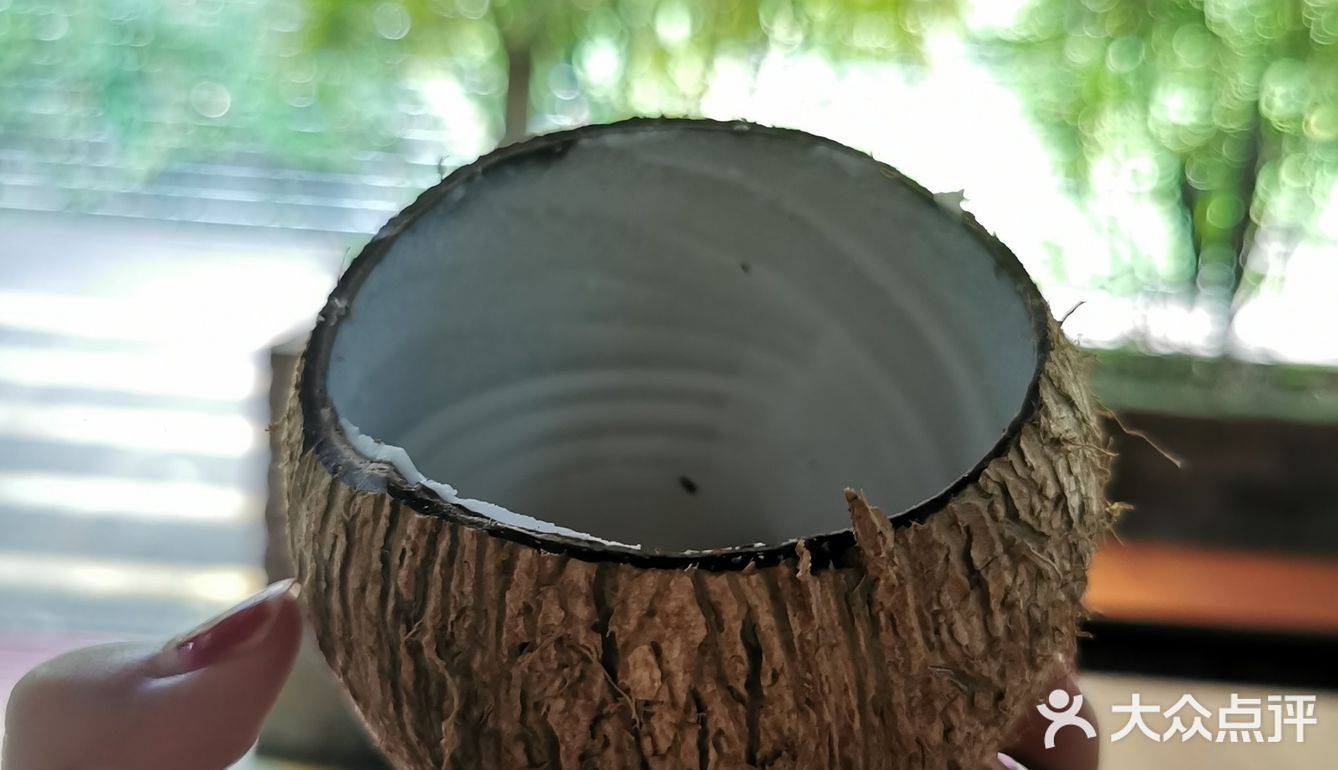 海南旅游｜天了噜‼️热带植物园让我开了眼👀