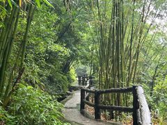 -华蓥山天意谷景区