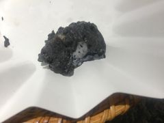 牛油果天妇罗-将太无二·北美传奇寿司(瑞士公寓店)