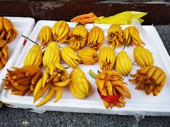 -蒸好吃馄饨