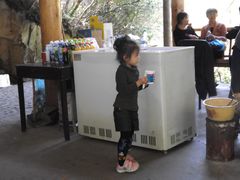 -藏龙百瀑风景区