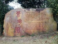 -广州市帽峰山景区