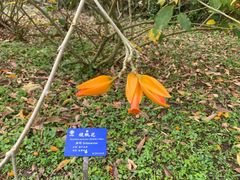 -中国科学院西双版纳热带植物园