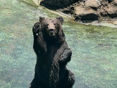 -深圳野生动物园