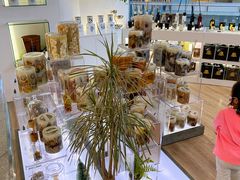 -SCENTBOUTIQUE(侨福芳草地购物中心店)