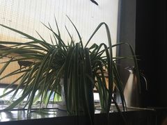 -串来串去(中关村店)