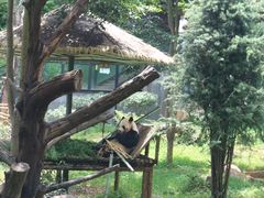 -云南野生动物园