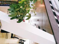 -成都华星名仕奥迪4S店(龙潭寺店)