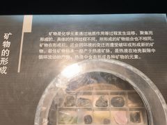 -浙江自然博物院(杭州馆)
