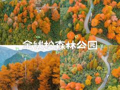 -老李家土菜馆·安吉地标美食