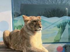 -大连森林动物园