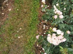 -人民公园(罗湖区)