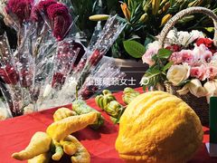 -天河体育中心