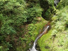 -牛背梁国家森林公园