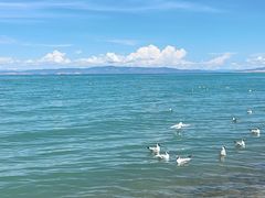 -青海湖国家重点风景名胜区