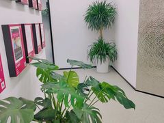 -新东方斯芬克艺术留学作品集培训(郑州校区)