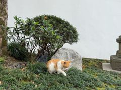 -马灯部落·西湖边的创意山景餐厅(虎跑动物园店)