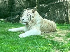 -北京野生动物园