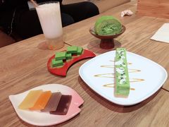 -柴务处·柴犬主题狗咖