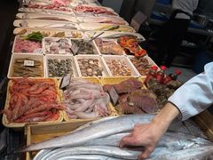 -高佳庄·舟山海鲜(海景旗舰店)