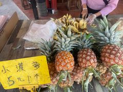 -西双版纳傣族园