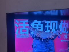 -老板恋上鱼(恒隆广场店)