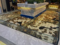 水产区-川骄海鲜自助(河东店)