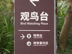 -深圳湾公园(南山区)