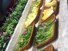 -火锅岛潮牌自助餐厅(天津天佑城店)