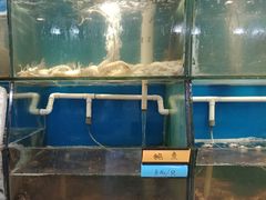 水产区-胖大嫂渔家排档·全海景餐厅(渔村店)