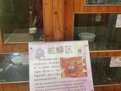 -上海大自然野生昆虫馆(东方明珠·爬宠昆虫探索中心)