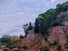 -东莞植物园