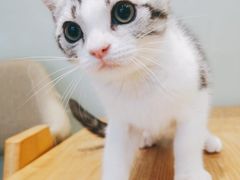 -Pets First伊珊娜洗护·精致美容·家庭式寄养(新会路店)