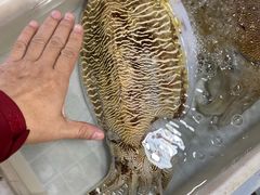 -霞涌市场海鲜摆卖区