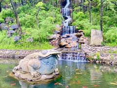 -大连天门山国家森林公园